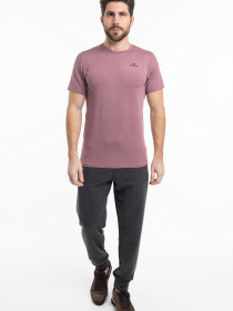 Футболка AVECS модель 30374-52-AV Фото