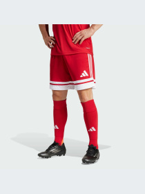 Шорты Adidas модель JE7745-KZ Фото