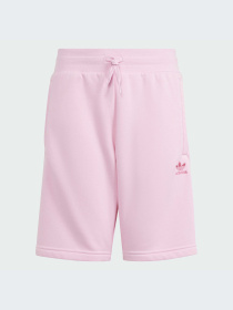 Шорты Adidas модель IP3044-KZ Фото
