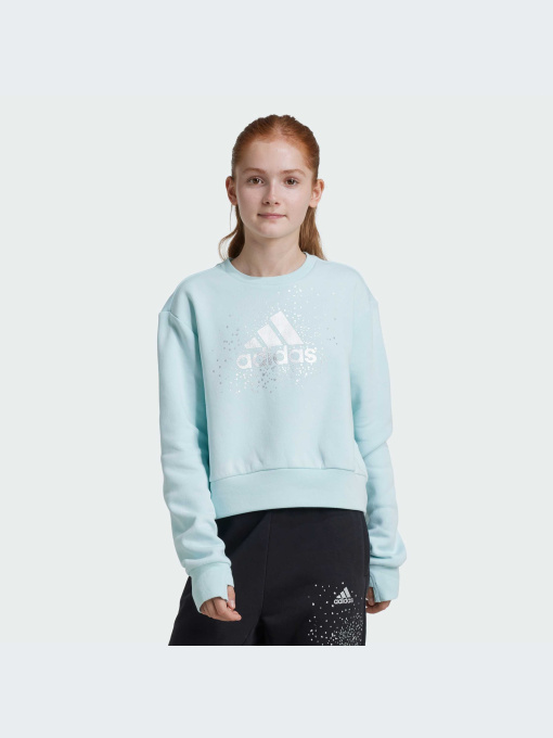 Худи и свитшоты Adidas модель IV9417-KZ Фото