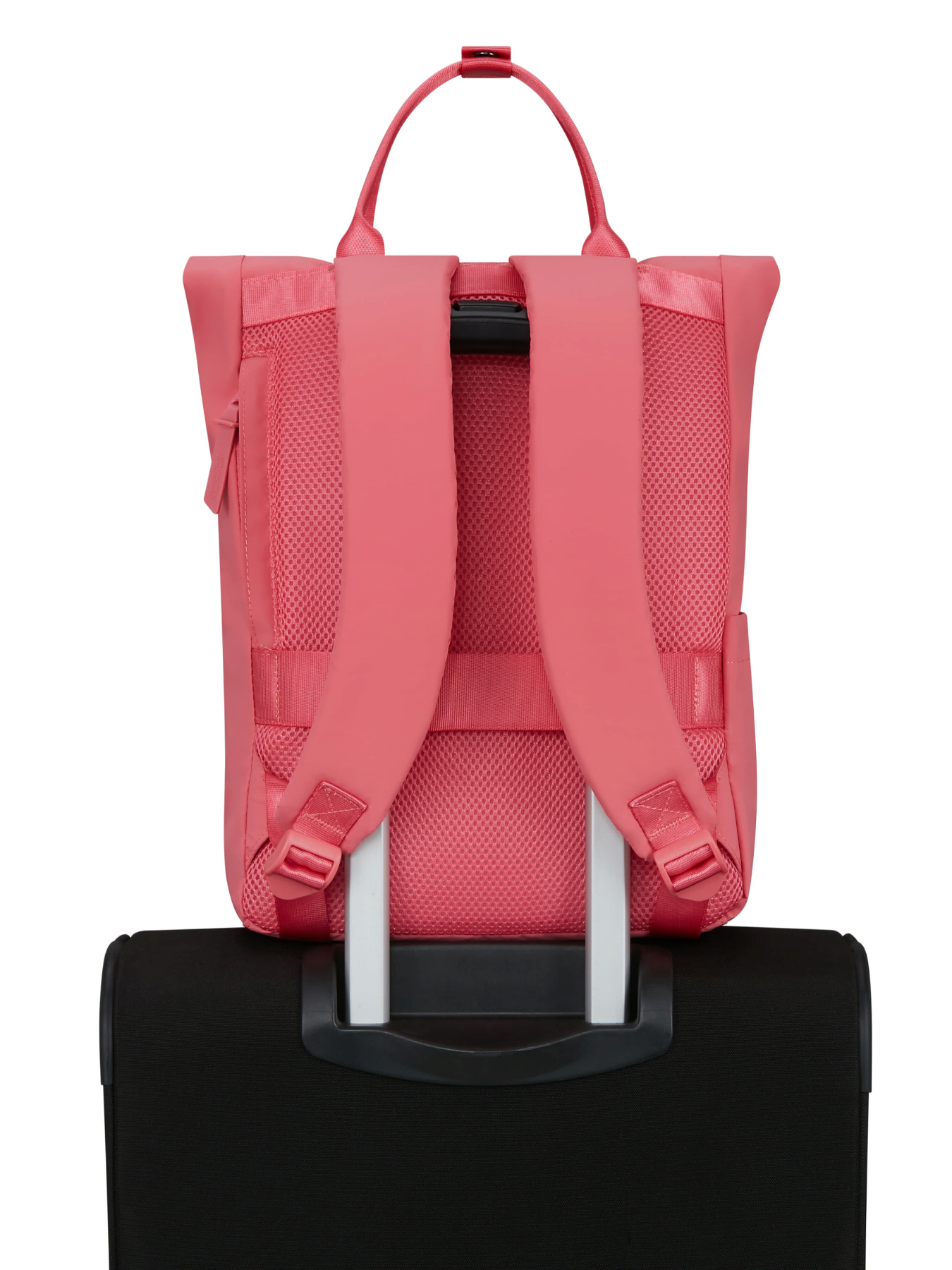 Рюкзаки American Tourister модель 24G80075 Рюкзаки American Tourister модель 24G80075 Фото