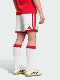 Шорти Adidas модель JZ3169 Фото