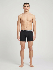 Нижня білизна Jordan Boxers модель JM0622-H24 Фото