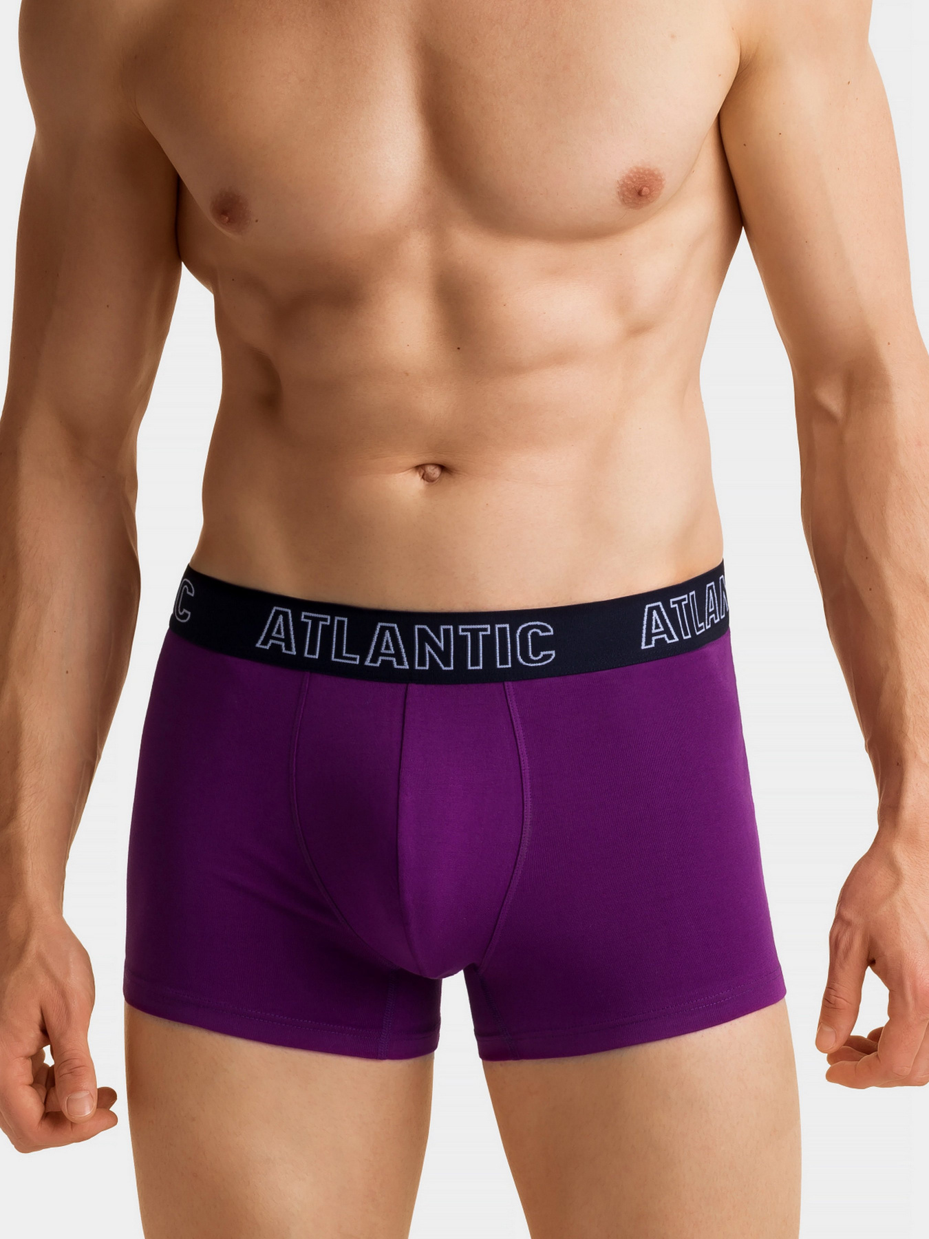 Набір трусів Atlantic модель 3MH-023_FIO_GRA_GRA Фото