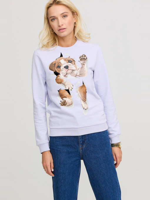 Свитшот YAPPI модель BSWL10058 Фото