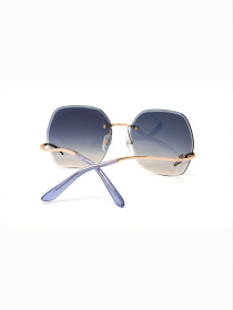 Очки GUESS модель E0000543911 Фото
