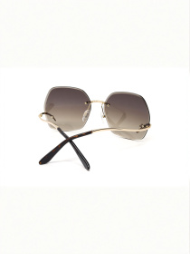 Очки GUESS модель E0000543913 Фото