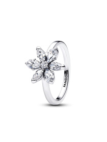 Кольца PANDORA модель 193000C02 Фото