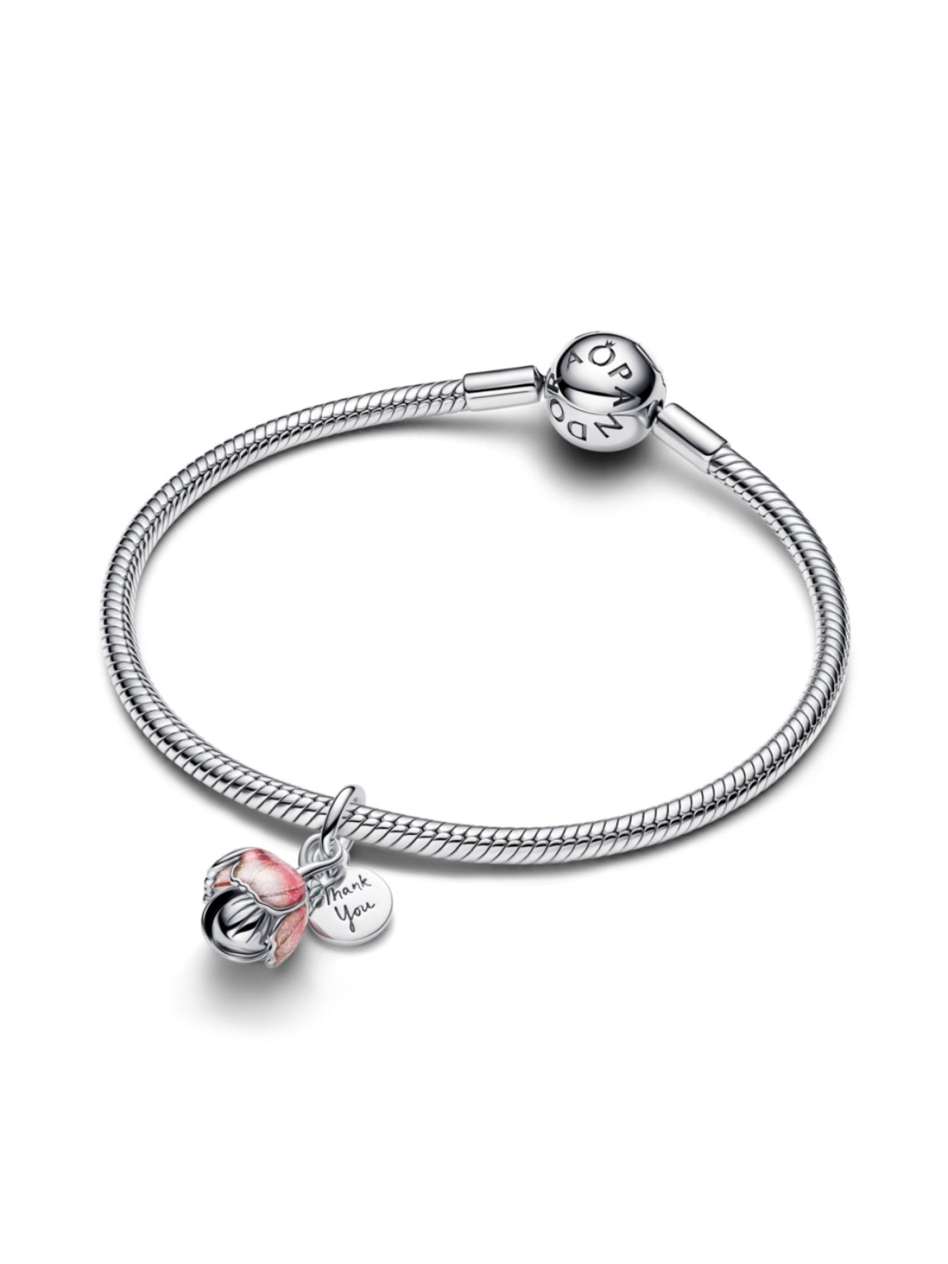 Шармы-подвески PANDORA модель 764453C01 Фото