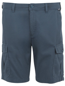 Шорты Regatta Ruwanshort модель RMJ310-20I Фото