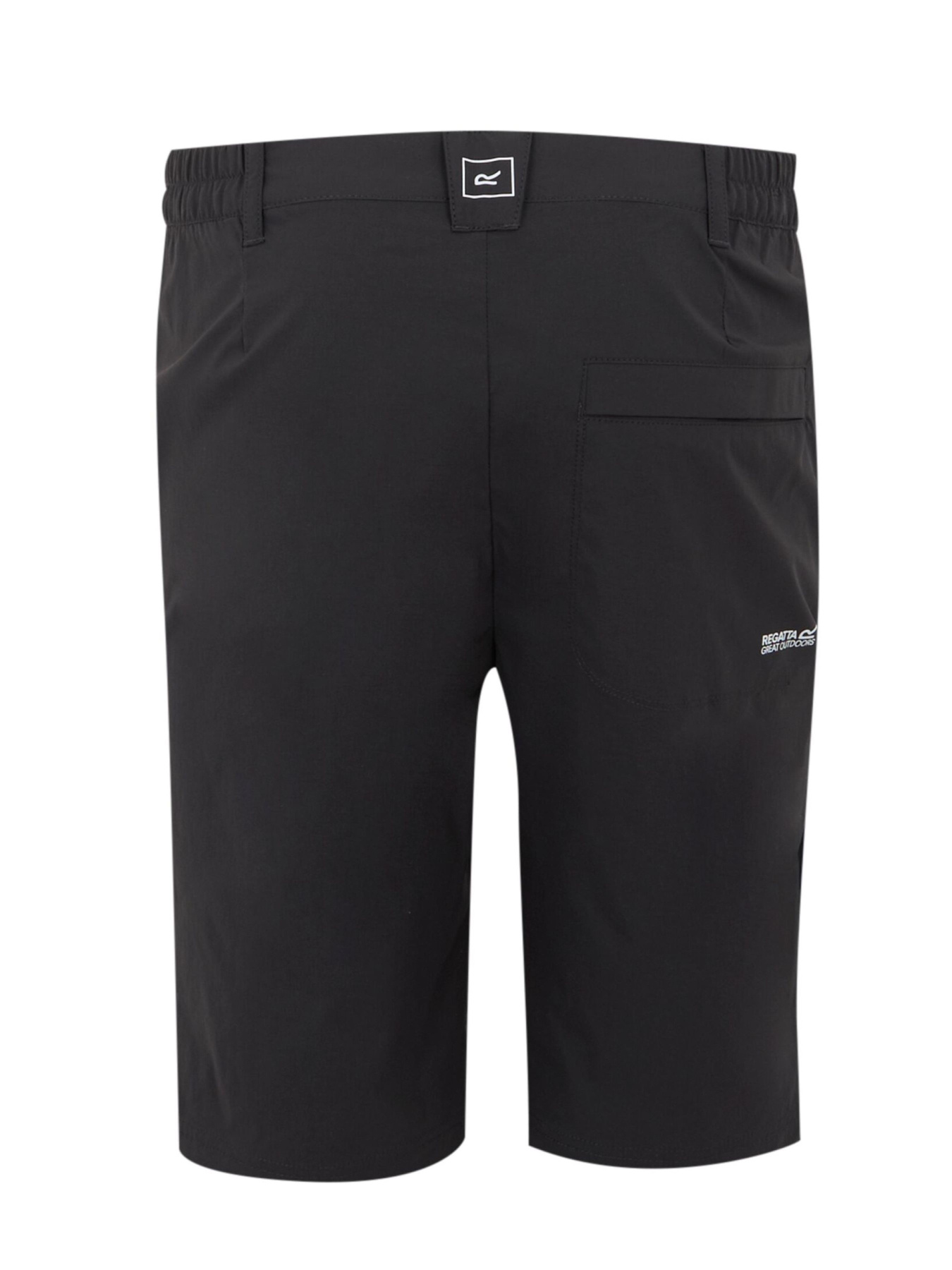 Шорты Regatta Hightonshortlngii модель RMJ316-61I Фото