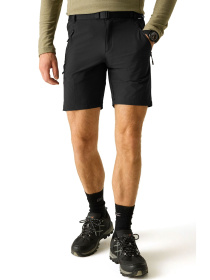 Шорти Regatta Xertstretchshorts модель RMJ365-800 Фото