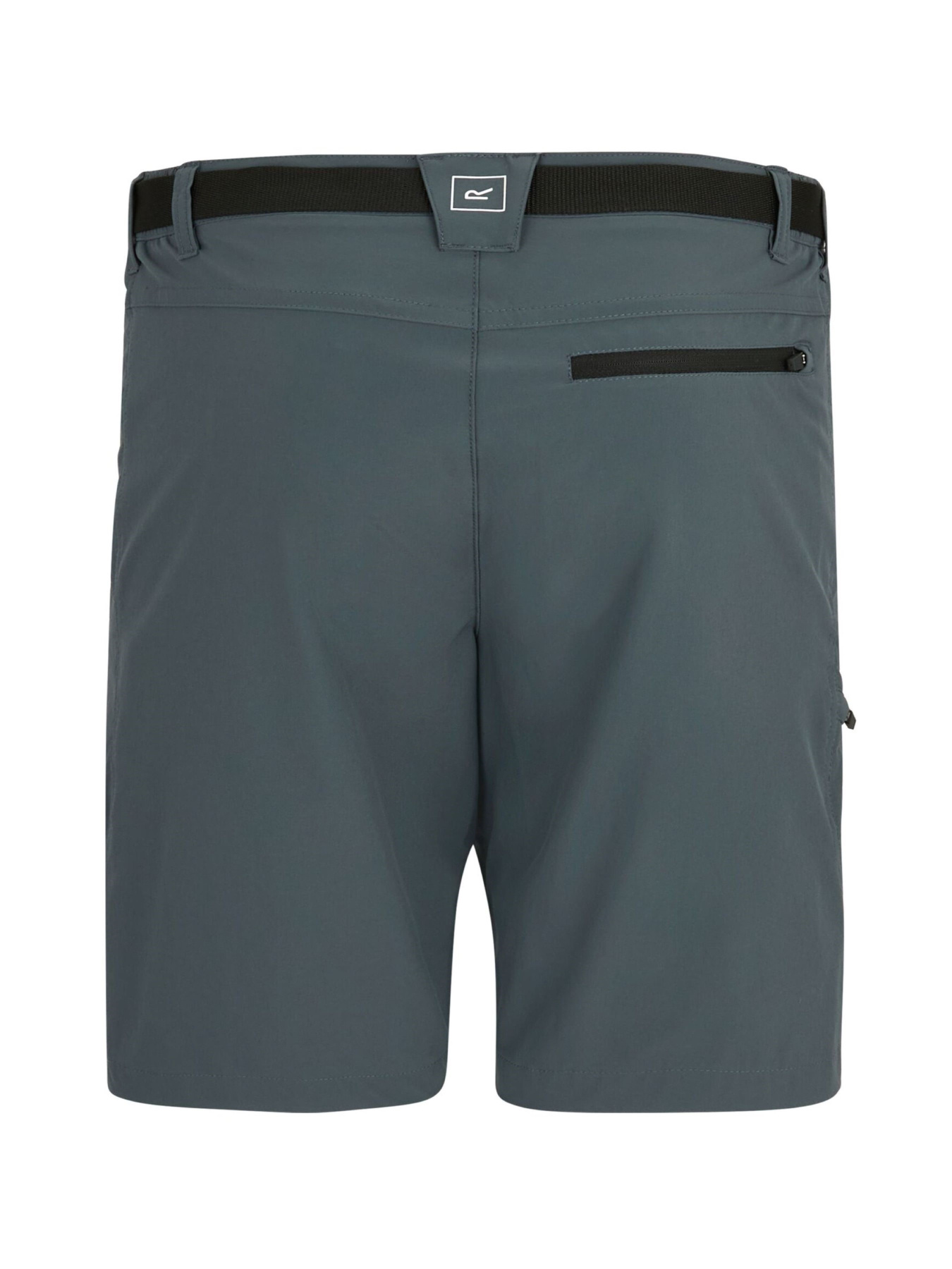 Шорты Regatta Xertstretchshorts модель RMJ365-EN9 Фото