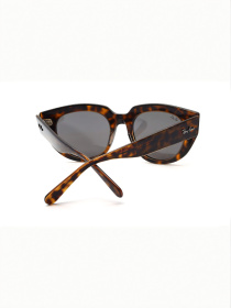 Очки Ray-Ban модель E0000497184 Фото