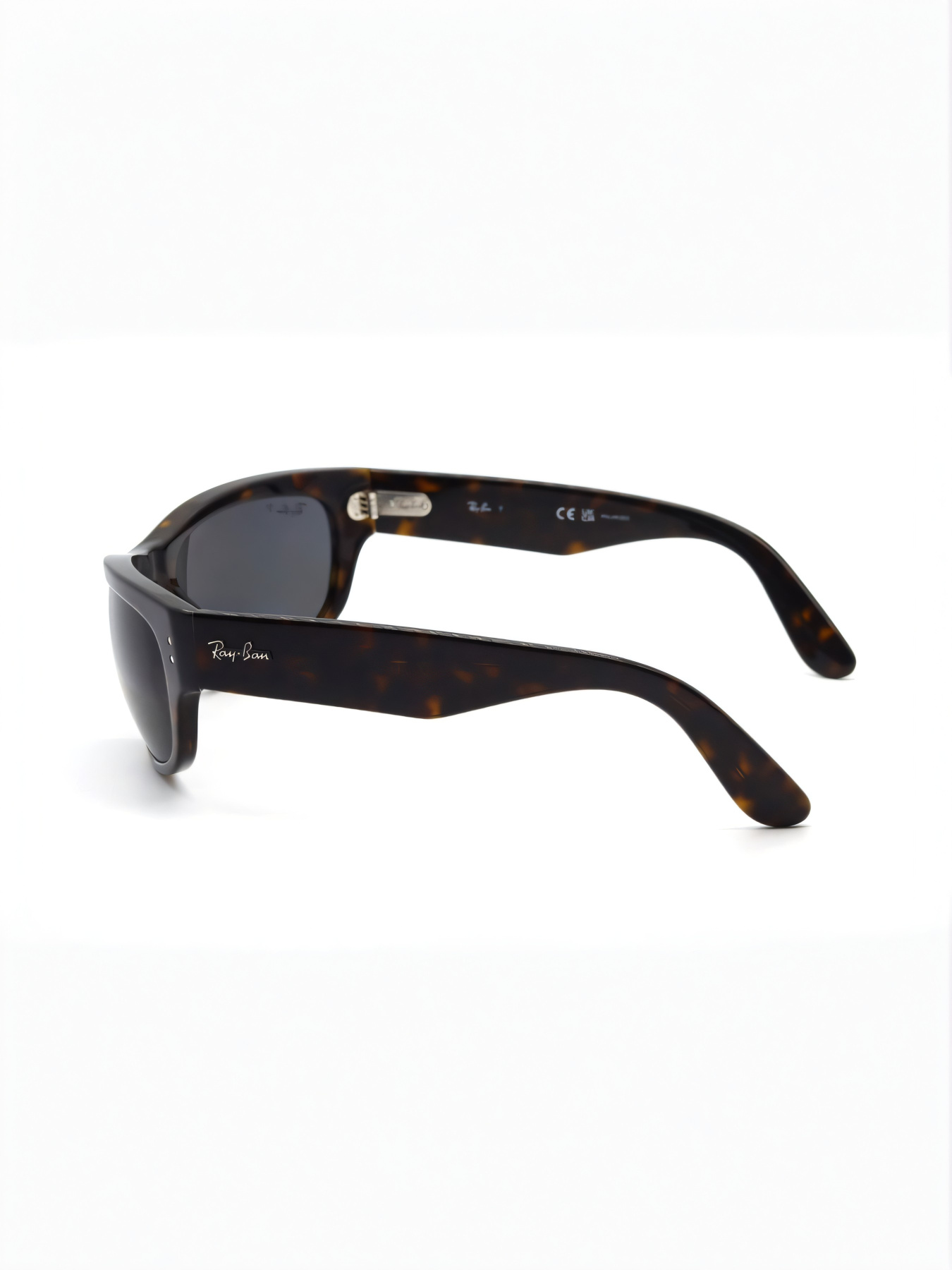 Очки Ray-Ban модель E0000497216 Фото