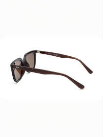 Очки Ray-Ban модель E0000497247 Фото