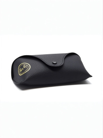 Очки Ray-Ban модель E0000497192 Фото