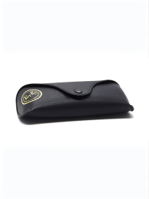Очки Ray-Ban модель E0000497264 Фото