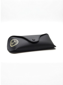 Очки Ray-Ban модель E0000520731 Фото