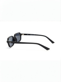 Очки Ray-Ban модель E0000520794 Фото
