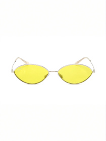 Очки Ray-Ban модель E0000520748 Фото