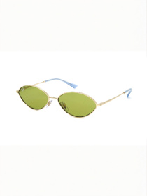Очки Ray-Ban модель E0000520762 Фото