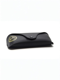 Очки Ray-Ban модель E0000520608 Фото