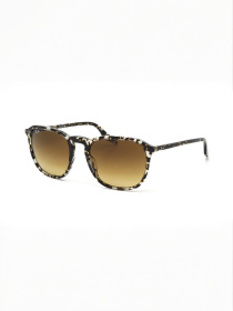 Очки Ray-Ban модель E0000520608 Фото