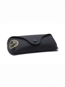 Очки Ray-Ban модель E0000520643 Фото