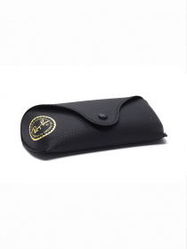 Очки Ray-Ban модель E0000497077 Фото