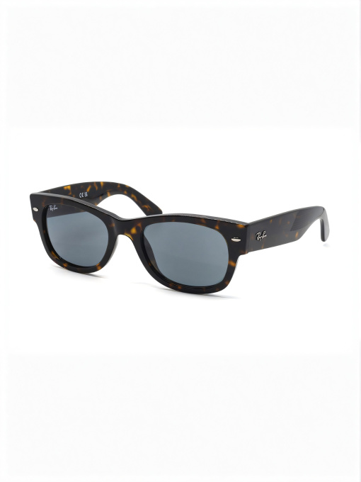 Очки Ray-Ban модель E0000586353 Фото