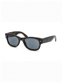 Очки Ray-Ban модель E0000586353 Фото