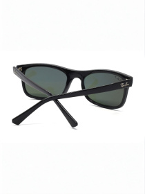 Очки Ray-Ban модель E0000586508 Фото