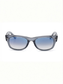 Очки Ray-Ban модель E0000586349 Фото