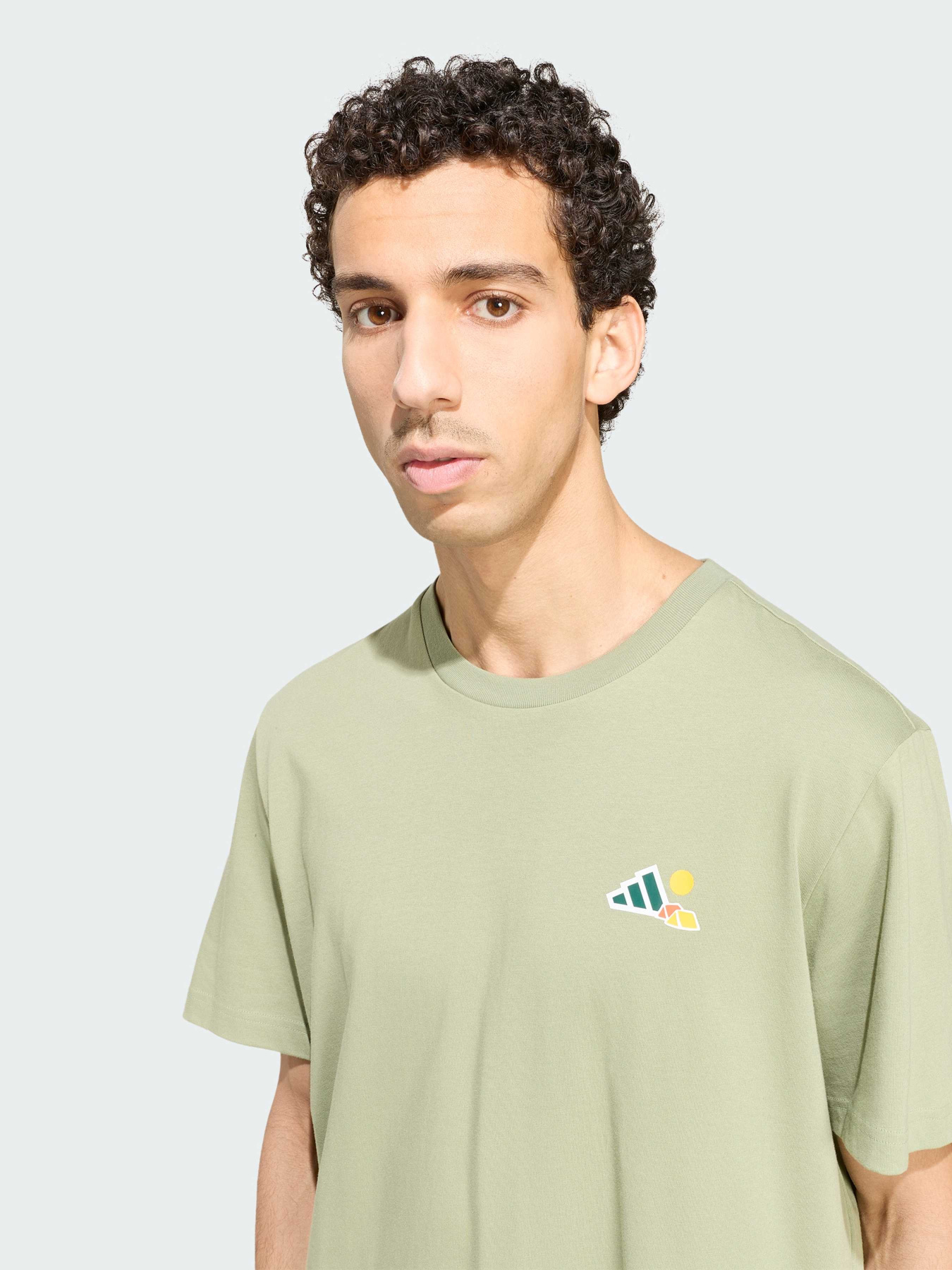 Футболки и поло Adidas модель KS2520 Фото