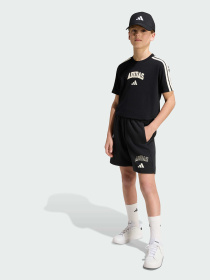 Футболки и поло Adidas модель KE1638 Фото