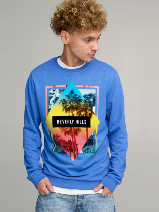 Свитшот YAPPI модель BSMRB10013 Фото