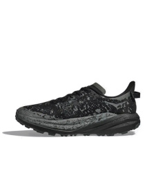 Кроссовки HOKA Speedgoat 6 Gtx модель 197634477619 Фото
