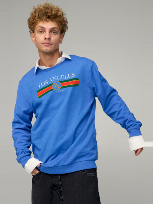 Світшот YAPPI модель BSMRB30035 Фото