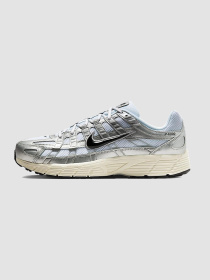 Кросівки NIKE P-6000 модель CD6404-105 Фото