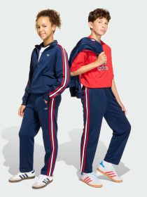 Штани Adidas Adicolor модель KC9497 Фото