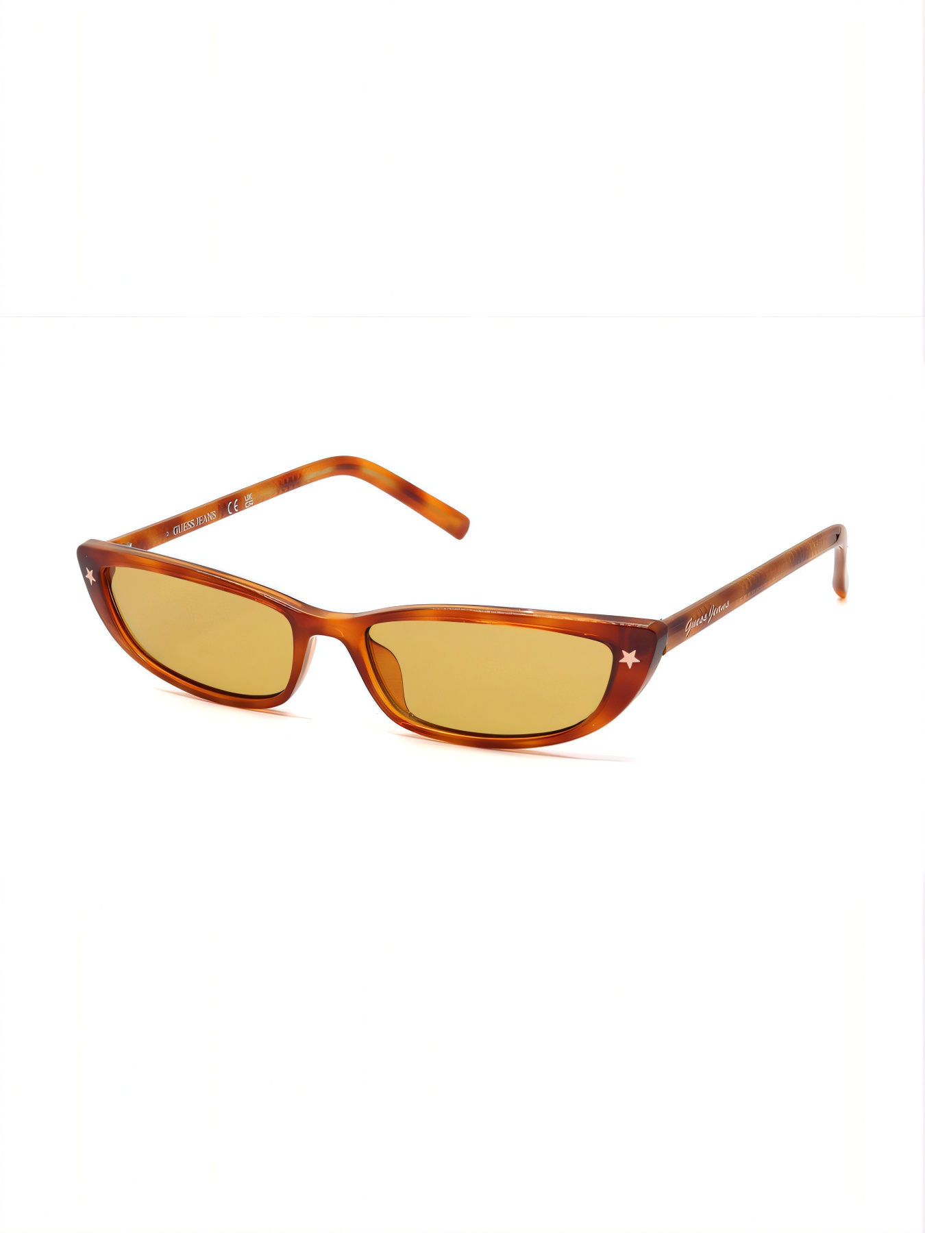 Очки GUESS модель E0000543799 Фото