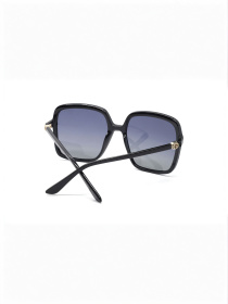 Очки GUESS модель E0000555109 Фото