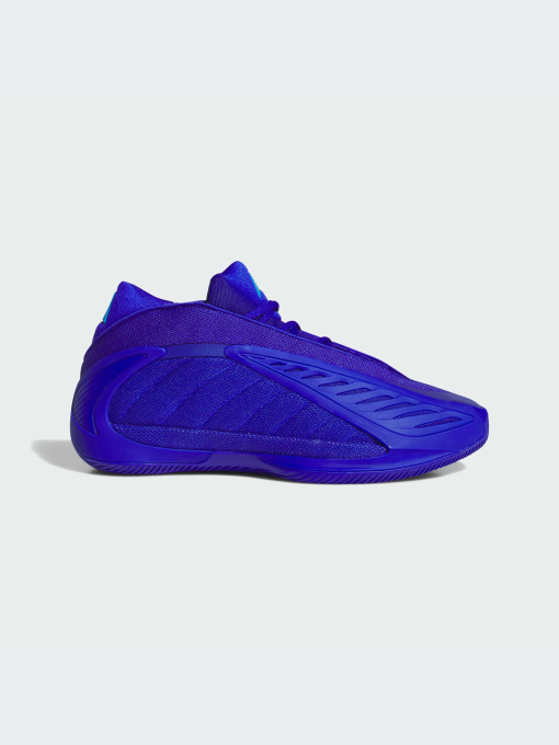 Кроссовки Adidas модель JQ9501-KZ Фото