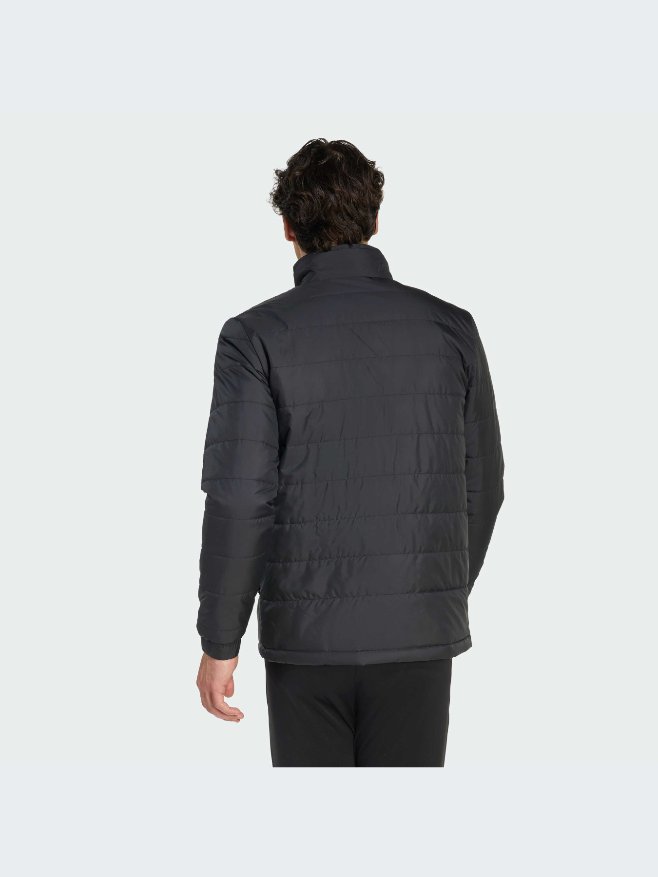 Куртки и дубленки Adidas модель JZ9141-KZ Куртки и дубленки Adidas модель JZ9141-KZ Фото