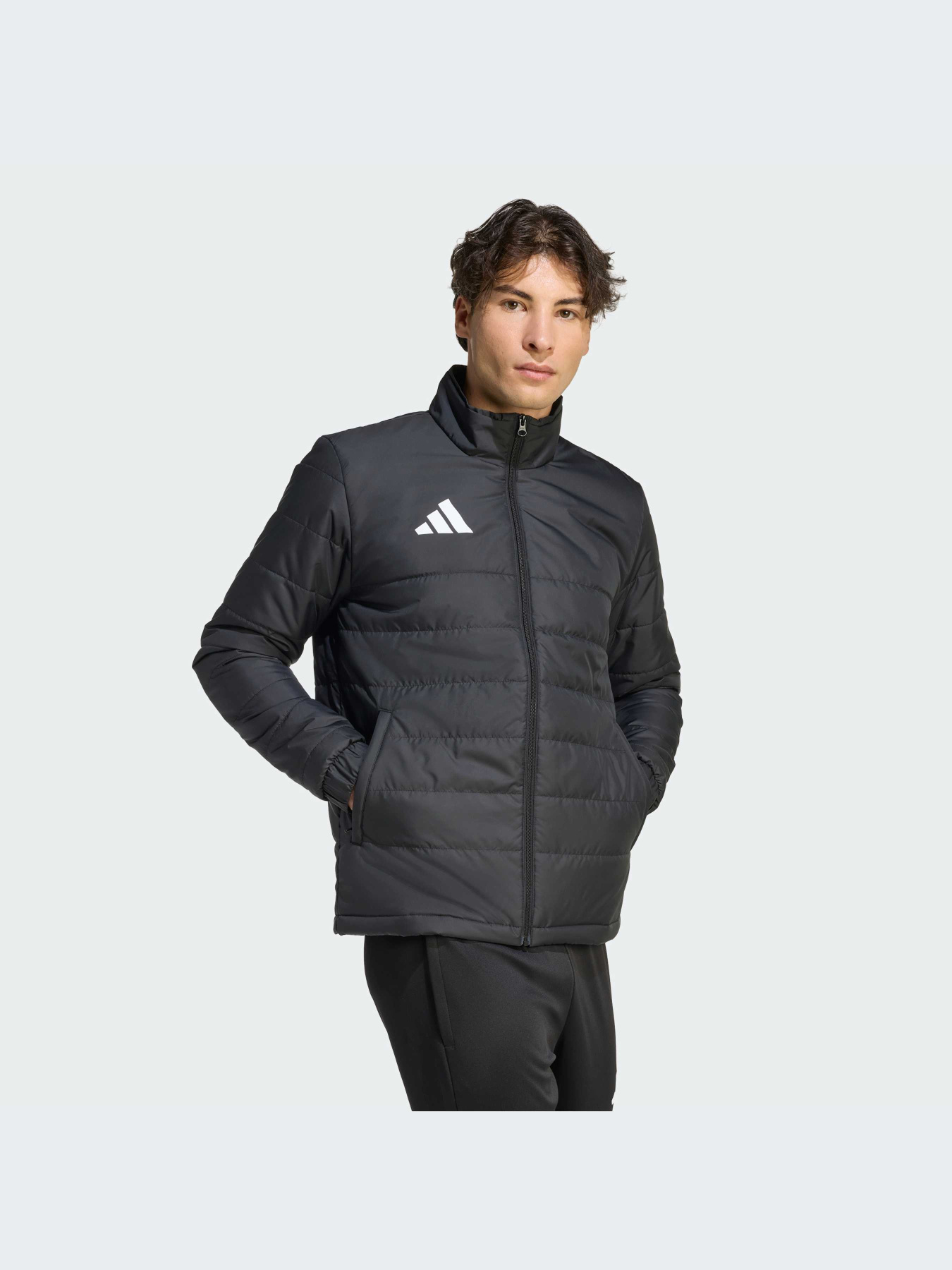 Куртки и дубленки Adidas модель JZ9141-KZ Куртки и дубленки Adidas модель JZ9141-KZ Фото