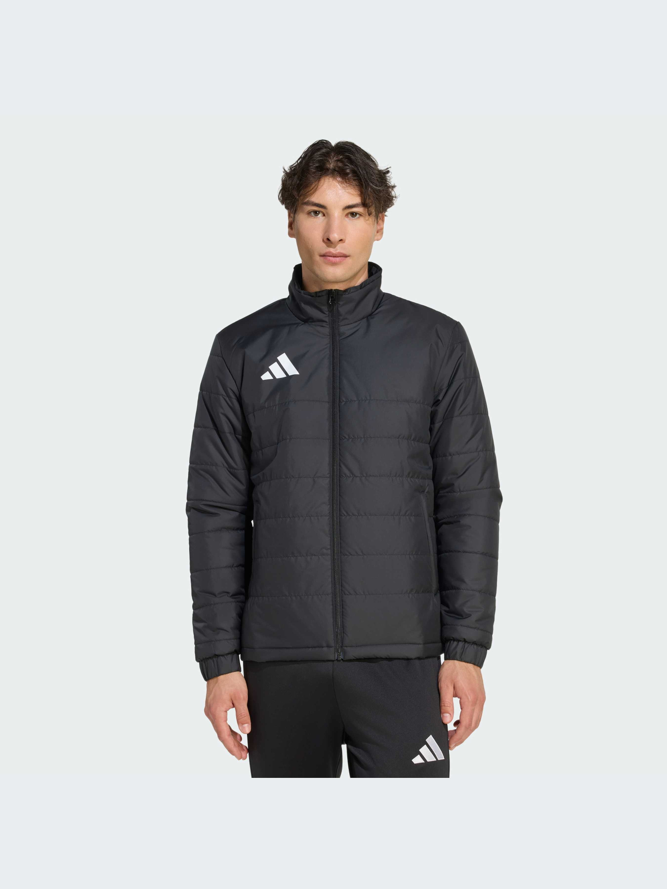 Куртки и дубленки Adidas модель JZ9141-KZ Куртки и дубленки Adidas модель JZ9141-KZ Фото