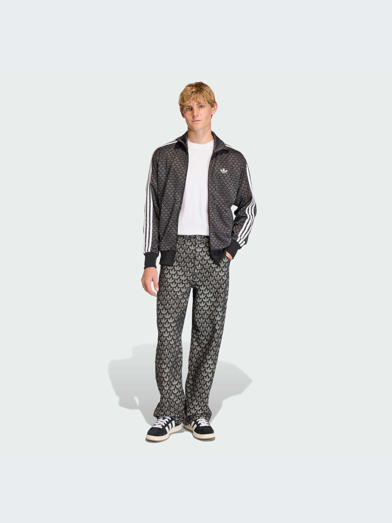 Брюки Adidas Graphics модель KC6380-KZ Фото
