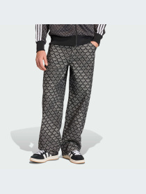 Брюки Adidas Graphics модель KC6380-KZ Фото