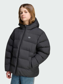 Куртки и дубленки Adidas модель KS1722 Фото